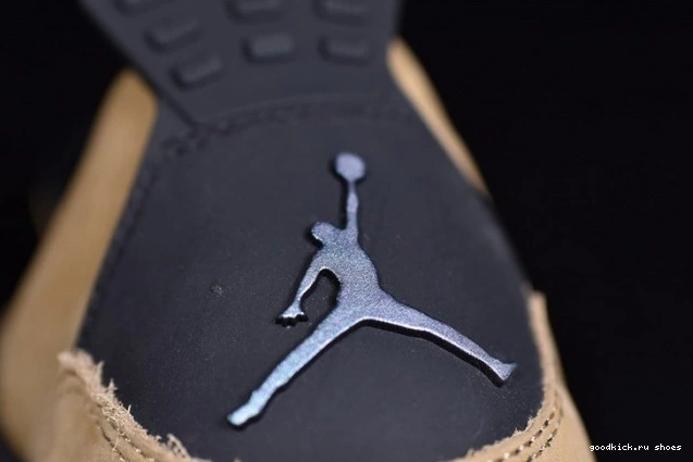 AQ9129-200 Mushroom Air 4 Jordan 0815